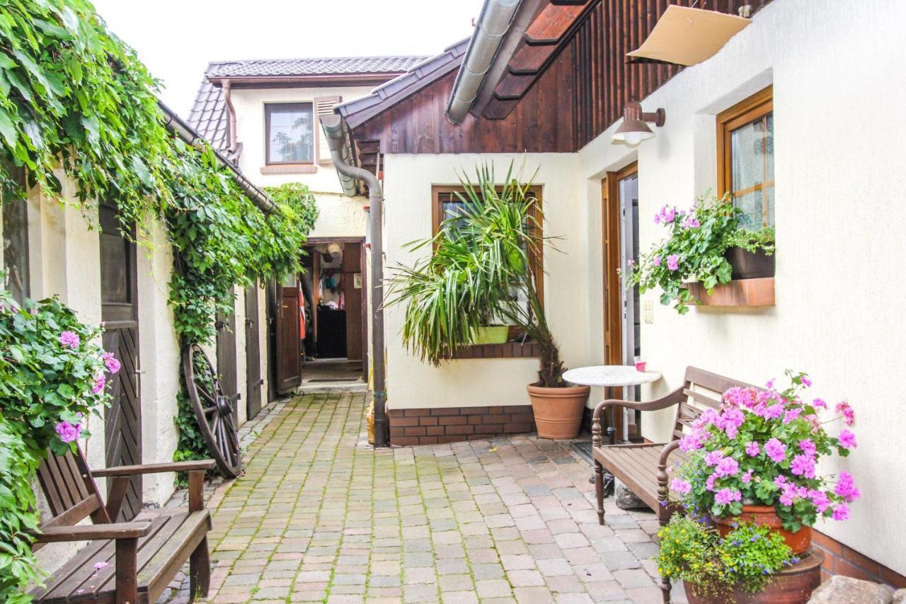 Apartament Likedeeler 5 Zingst Zewnętrze zdjęcie